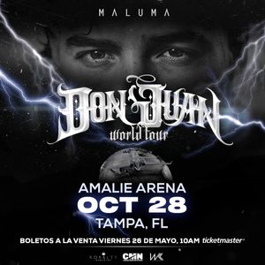 Image post by @AmalieArena on Twitter/X