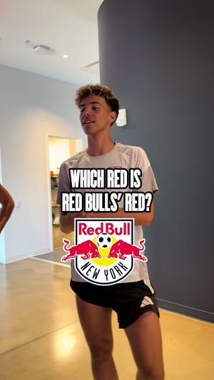 Video post by @redbullnewyork on TikTok