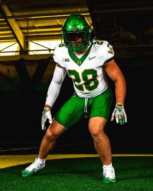 Image post by @goducks on Instagram