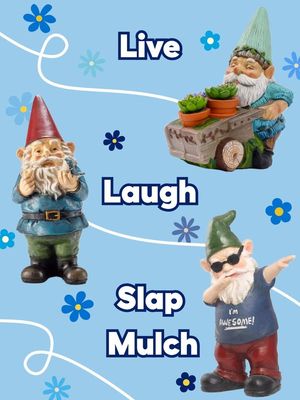 Image post by @lowes on Facebook