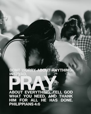 Image post by @wearetransformation on Instagram