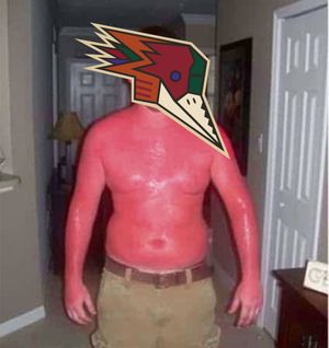 Image post by @sjbarracuda on Twitter