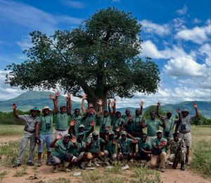 Image post by @chiawasafaris on Instagram