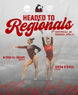Image post by @niugymnastics on Instagram