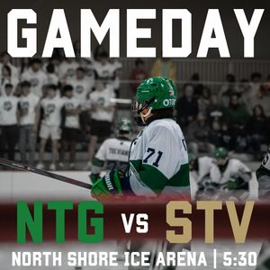 Image post by @ntghockey on Instagram