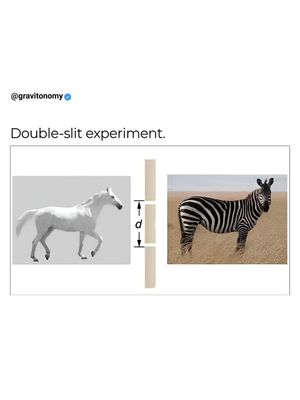 Image post by @gravitonomy on Instagram