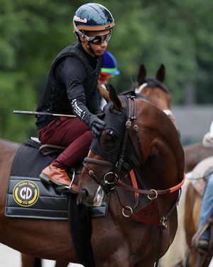 Video post by @worldhorseracing on TikTok