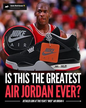Image post by @soleretriever on Instagram