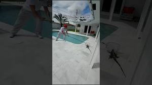 Video post by @dalton.chandlerr on YouTube