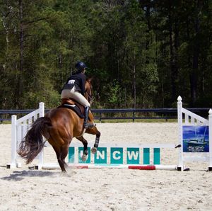 Image post by @uncwadmissions on Instagram