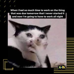 Image post by @xheightnetwork on Instagram
