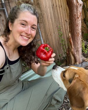 Image post by @annathearcher on Instagram