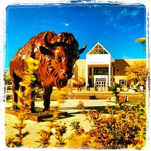Image post by @universityatbuffalo on Instagram
