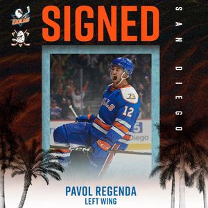 Image post by @sdgullsahl on Instagram