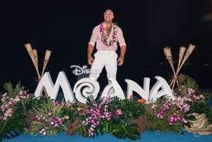 Image post by @therock on Instagram