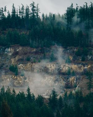 Image post by @amy.kennedy.photos on Instagram