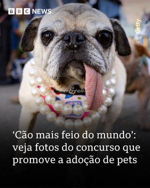 Image post by @bbcbrasil on Instagram