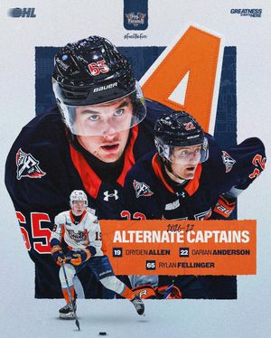 Image post by @flintfirebirds on Instagram