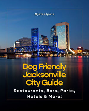 Image post by @jetsetpets on Instagram