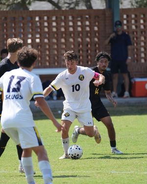 Image post by @ucsc_athletics on Instagram
