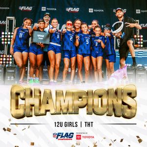 Image post by @nflflag on Instagram