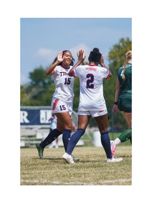 Image post by @gojsutigers on Instagram
