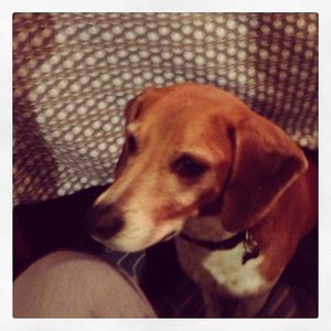 Image post by @jordankahana on Instagram