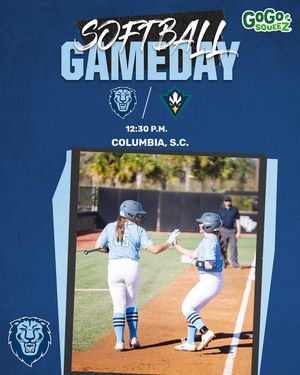 Image post by @culionssoftball on Instagram