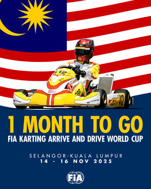 Image post by @fia.official on Instagram