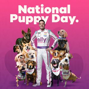 Image post by @allyracing on Twitter