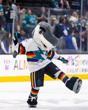 Image post by @sapcenter on Instagram