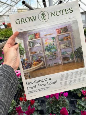 Image post by @sbcreative_ on Instagram