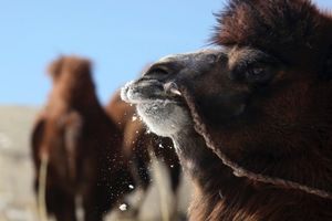 Image post by @Discovery on Twitter