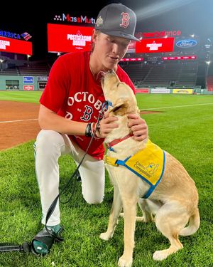 Image post by @canineorg on Instagram