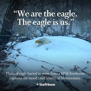Image post by @startribune on Instagram