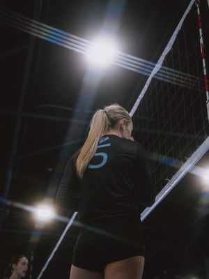 Image post by @wyldfilm on Instagram