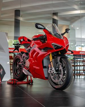 Image post by @panigalers on Instagram