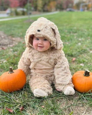 Image post by @potterybarnkids on TikTok