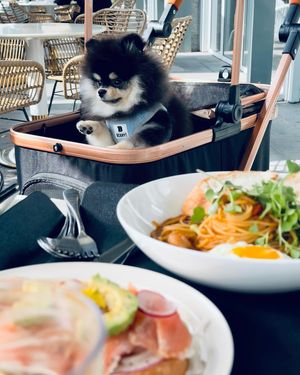 Image post by @shenrynam on Instagram