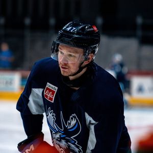 Image post by @manitobamoose on Instagram