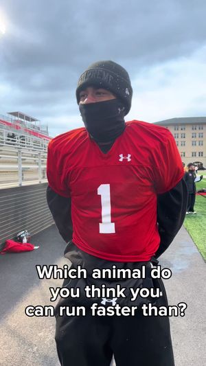 Video post by @semoredhawks on TikTok