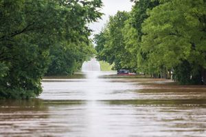 Image post by @DevinWilber on Twitter