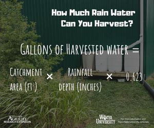 Image post by @txextension on Instagram