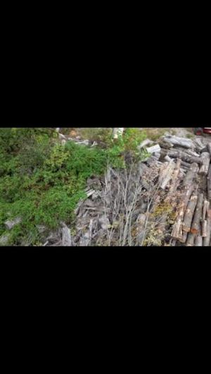 Video post by @greenworkscommercial on Facebook