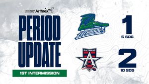 Image post by @FL_Everblades on Twitter