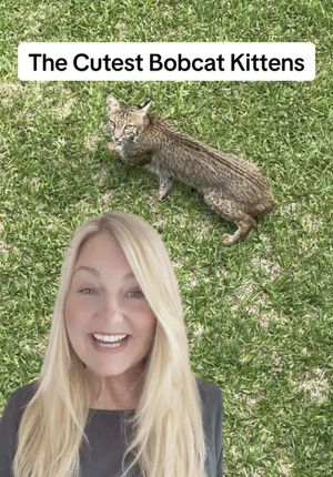 Video post by @livinglocurto on TikTok
