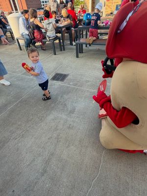 Image post by @clehotdogs on Instagram