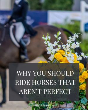 Image post by @theplaidhorsemag on Instagram
