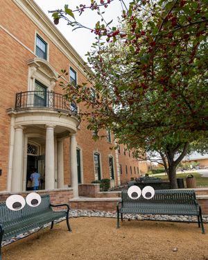 Image post by @unt on Instagram