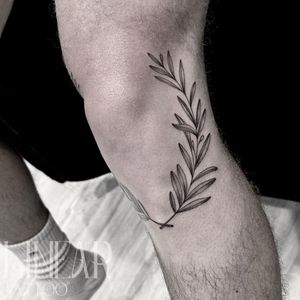 Image post by @christina.lineartattoo on Instagram